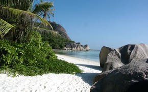 tropical beach, sand, Sea, stones, reed