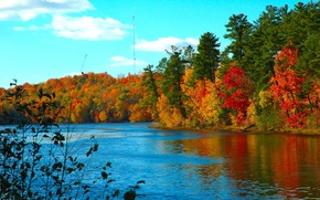 autumn, cold, Lake, water