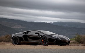 lamborgini, All, black, on, Beautiful, Background