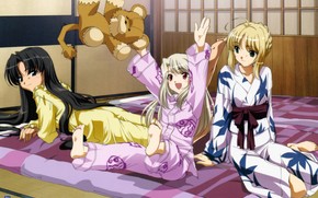 Saber, fate stay night, Girls, lion