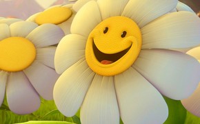 camomile, smile, flower