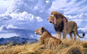 pride, Art, lion