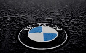 bmw, logo, hood, drops, rain, 