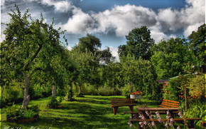 Garden, Trees, shop, sky, landscape