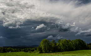 field, trees, CLOUDS, landscape