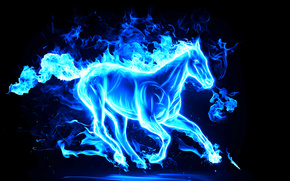 new year, 2014, horse, horse, horse, New Year