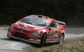 Wrc, 2004, Peugeot, 307, Rally Spain