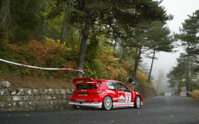 Wrc, 2003, Peugeot, 206, Rally San Remo