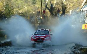 WRC 2003, rally Argentina, Peugeot