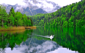 Mountains, clouds, lake, forest, trees, swan