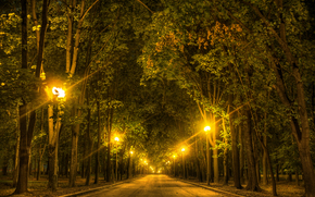 road, trees, night, lights