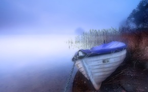 fog, lake, boat