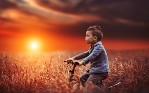 boy, bike, field, sunset, mood