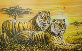 Art, Tigers, watch, two, savanna