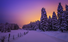 Snowy Night Lights, Otzarreta Forest, Basque Country, Spain