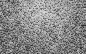 background, design, TEXTURE