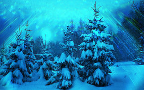 winter, forest, trees, spruce, drifts, RAYS OF THE SUN, landscape