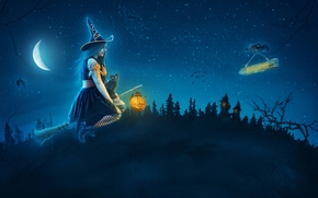 night, moon, vedmachka on a broomstick, kitten, fantasy