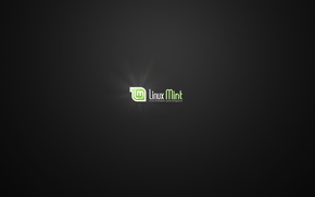 Linux Mint, mint, operating system, computer, graphics