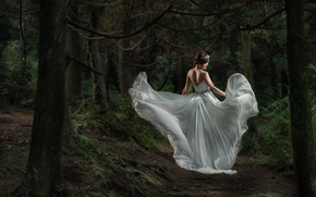 Asian, bride, Wedding Dress, dress, forest