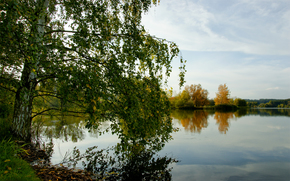 autumn, birch, Lake, forest